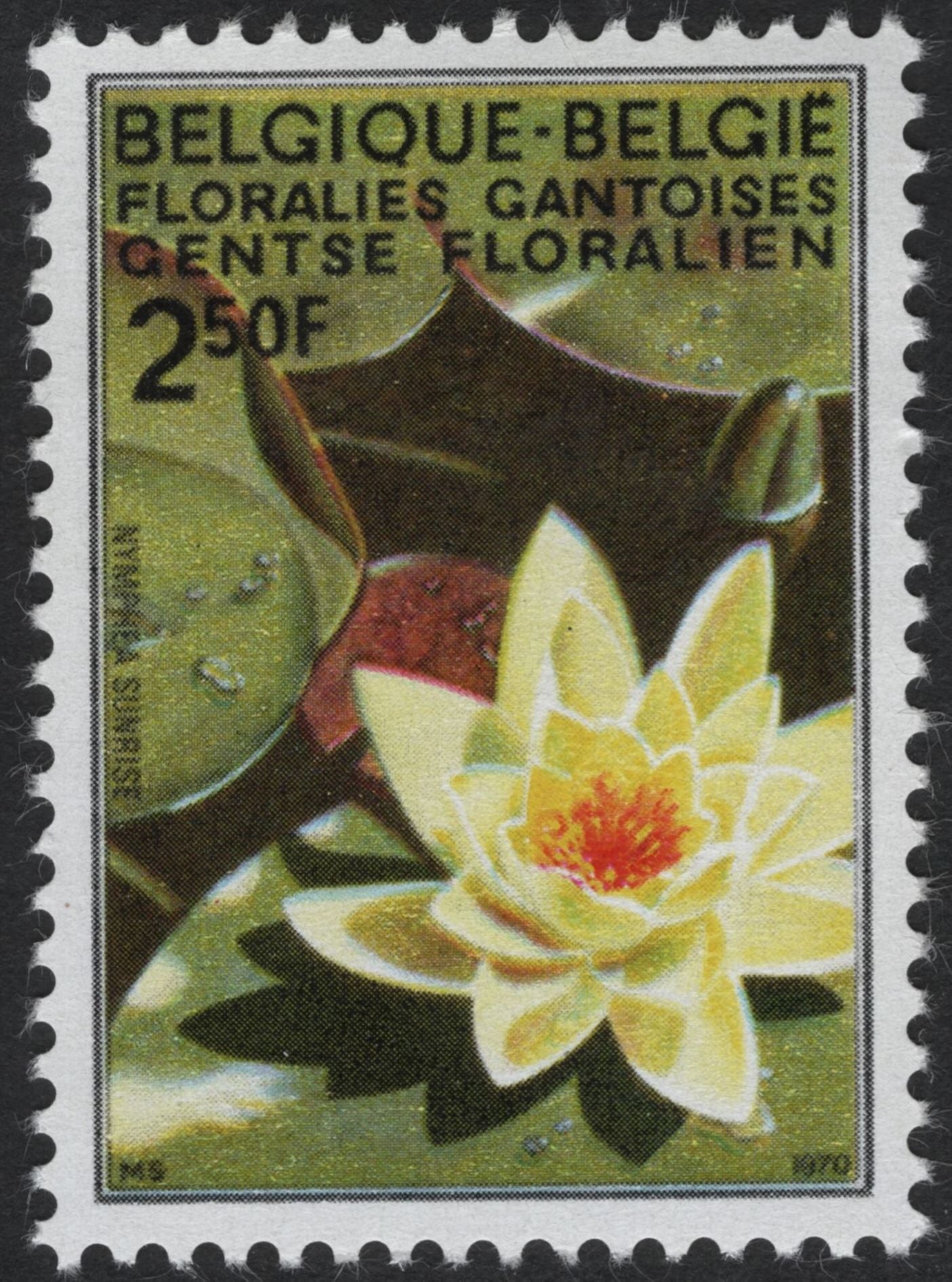 SCG5913 - Belgium 1970 – Ghent Floralies (Gentse Floralien) Floral Series