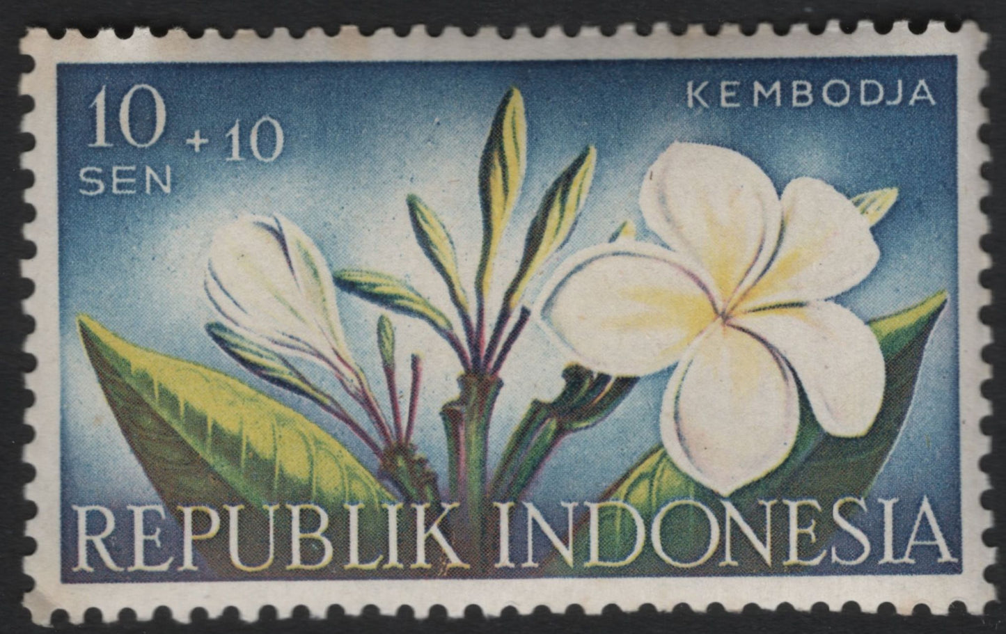 SCG5936 - Indonesia 1966 Semi-Postal Flowers Series