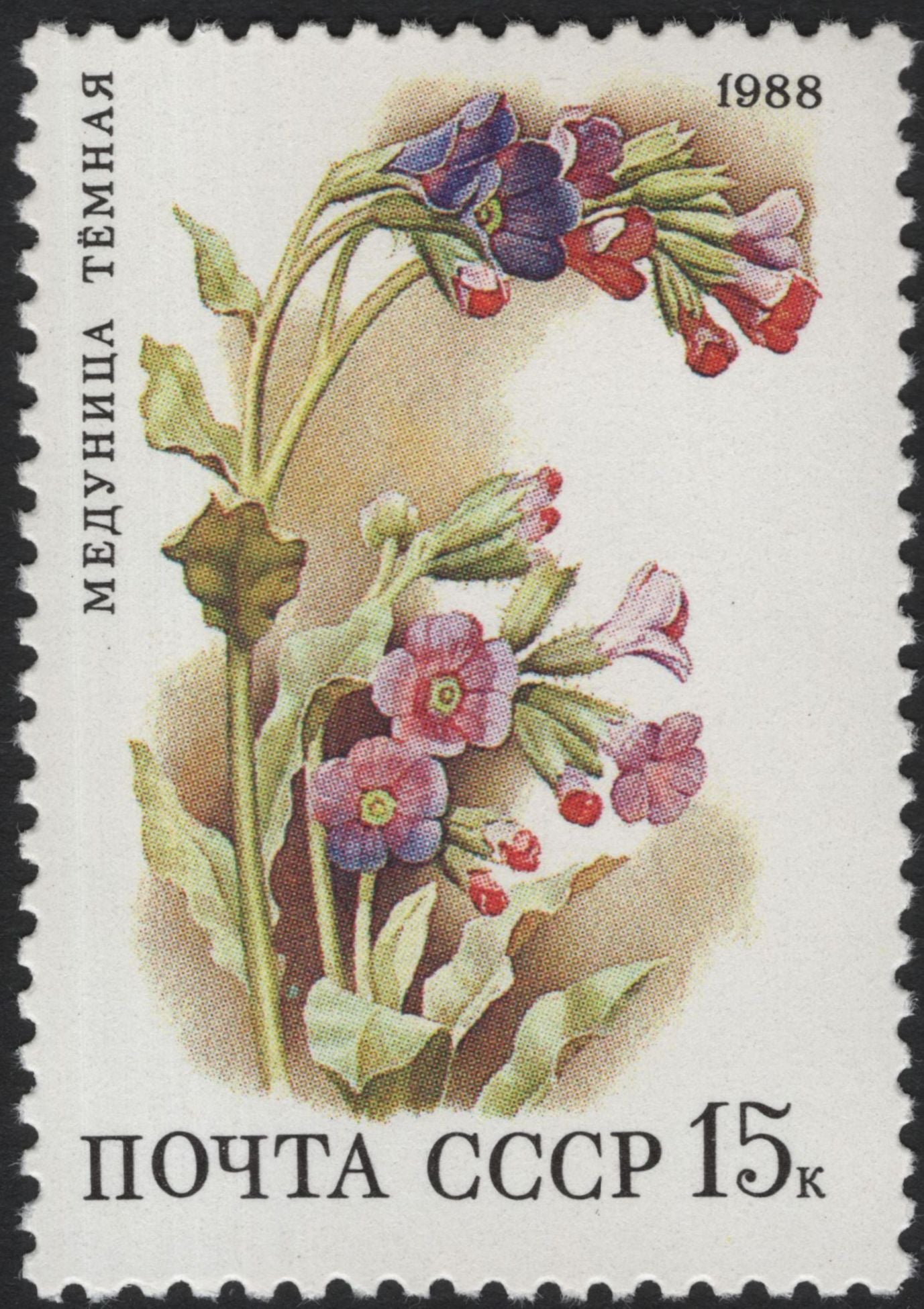 SCG5943 - USSR 1988 Wildflowers Definitive Set