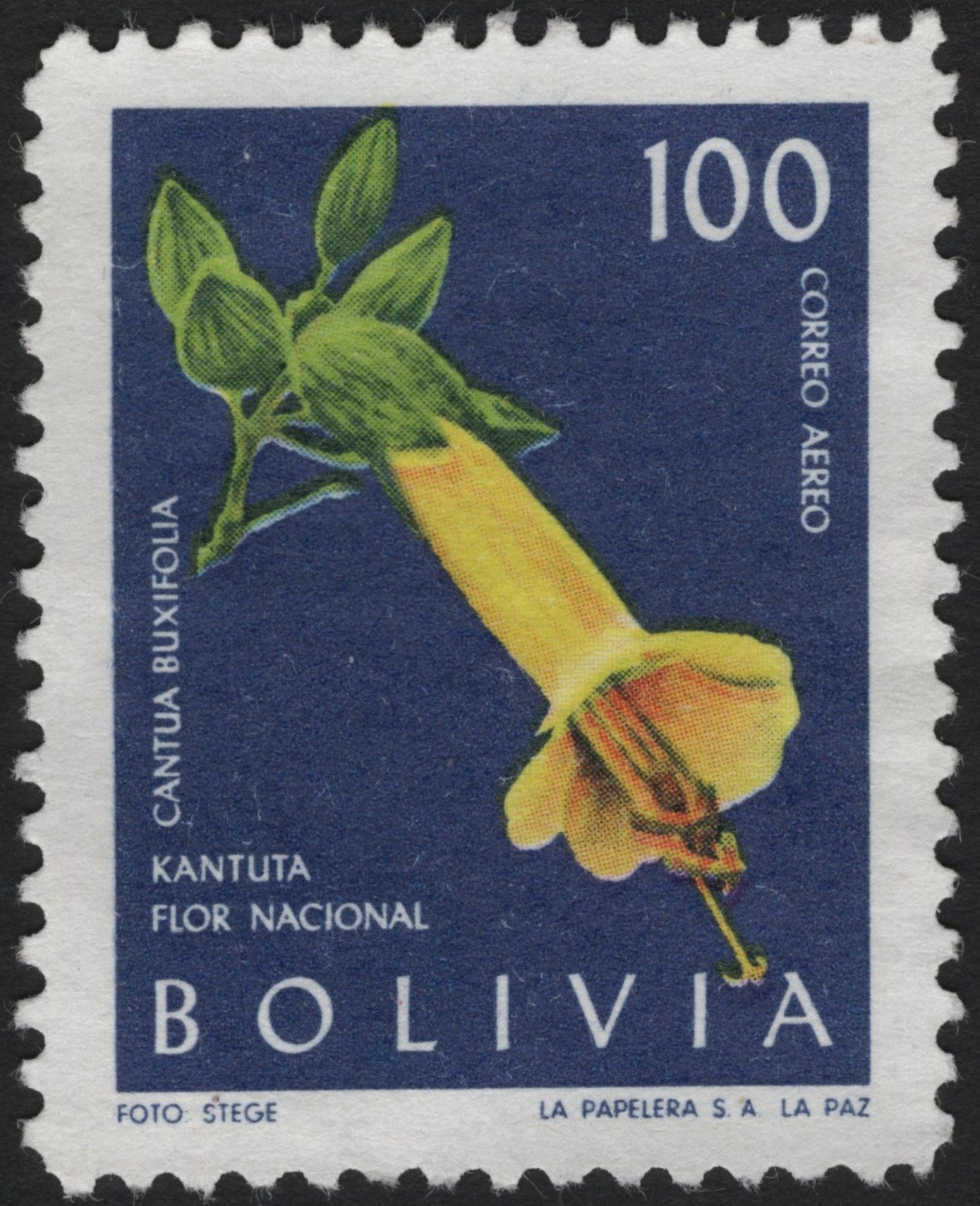SCG6025 - Bolivia 100c “Kantuta – Flor Nacional” Airmail Stamp