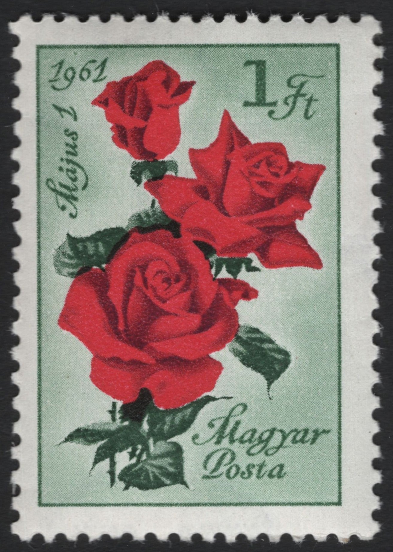 SCG6038 - Hungary 1961 – Red Roses (1 Forint)