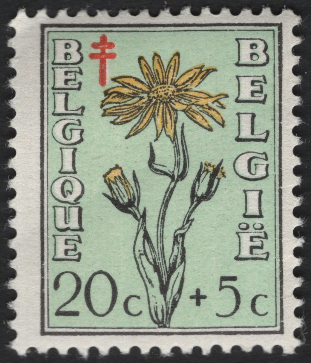 SCG6039 - Belgium 20c + 5c Arnica montana Red Cross Semi-Postal (1961)