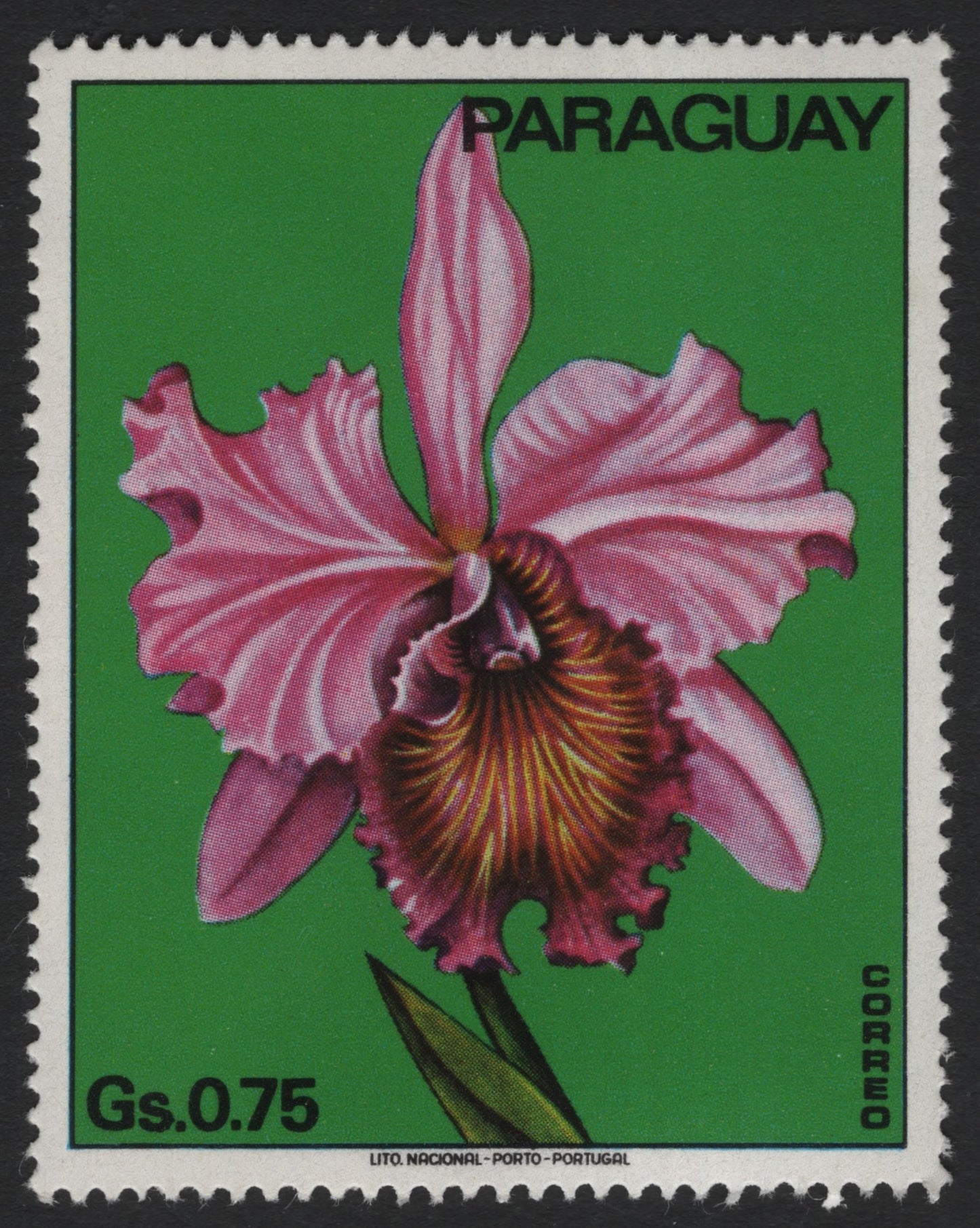 SCG6041 - Paraguay 0.75 Gs Orchid Stamp – Cattleya labiata