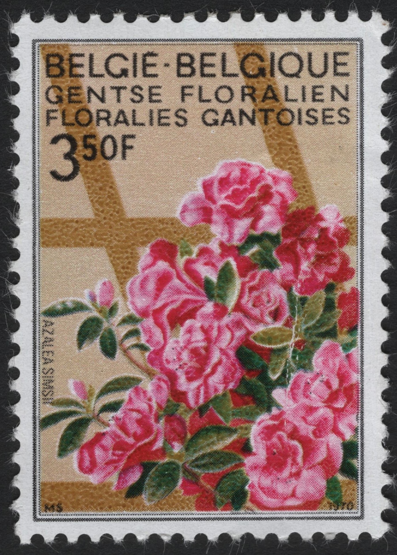 SCG6026 - Belgium 1980 “Ghent Floralies – Azalea Simsii” Stamp