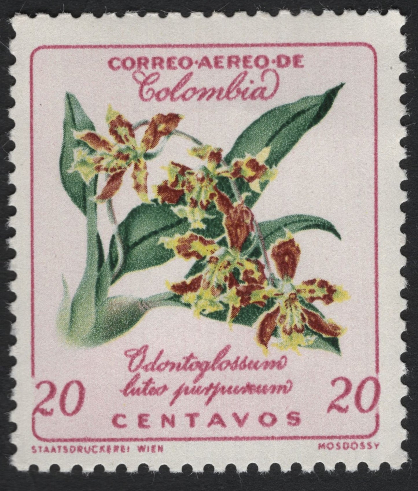 SCG6028 - Colombia 20 Centavos Airmail – Odontoglossum luteo-purpureum Orchid