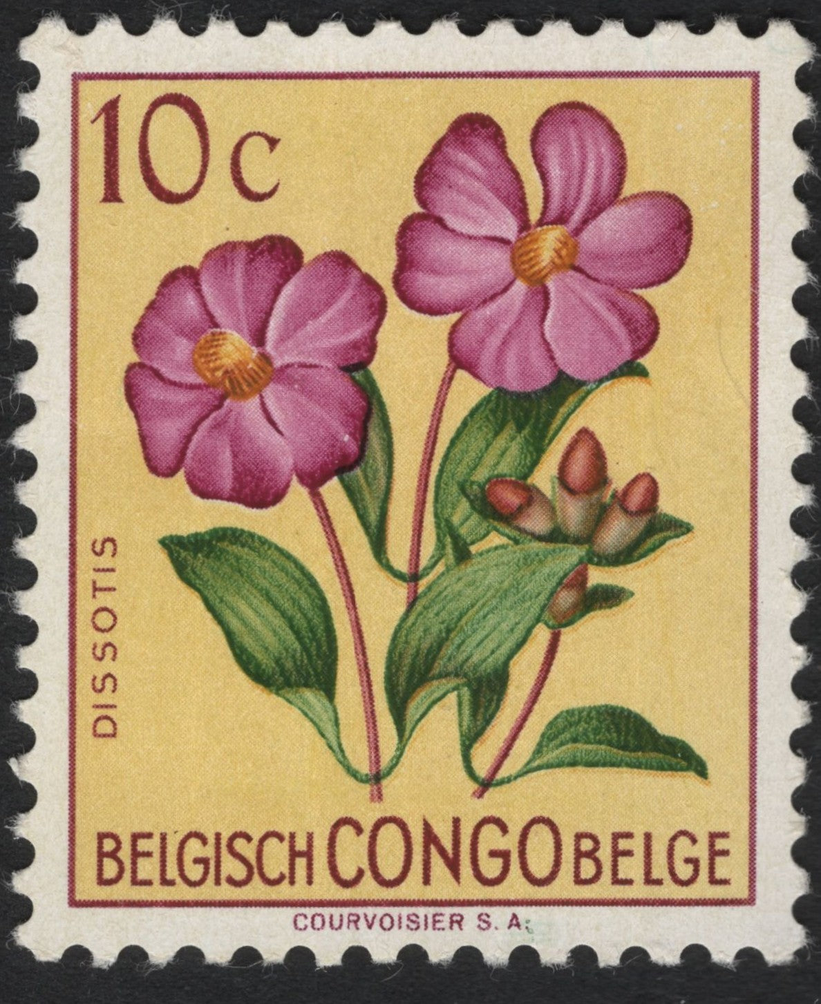 SCG6029 - Belgian Congo 10c "Dissotis" Floral Issue