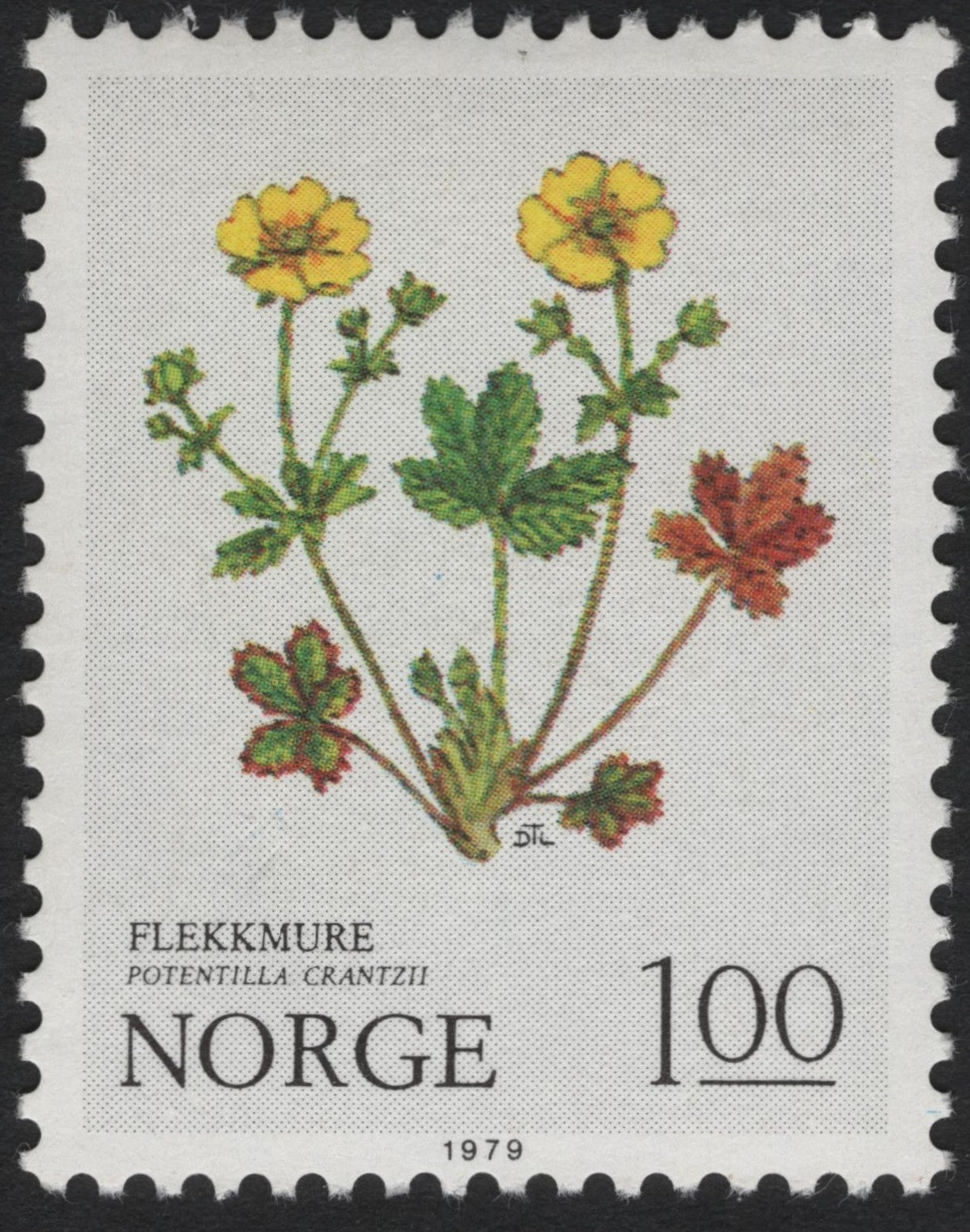 SCG6031 - Norway 1979 “Flekkmure – Potentilla crantzii” 1.00 Kr Stamp