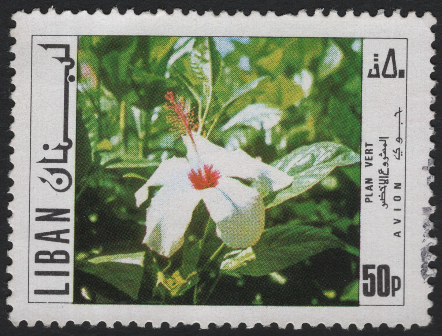 SCG6063 - Lebanon 50 Piastres – Hibiscus Flower (Plan Vert Airmail, 1970s)