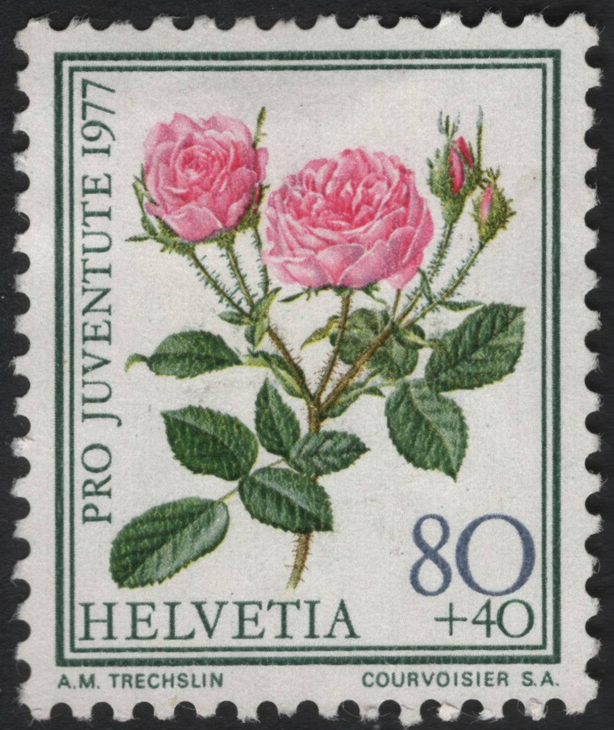 SCG6054 - Switzerland 1977 “Pro Juventute – Pink Rose” Charity Stamp