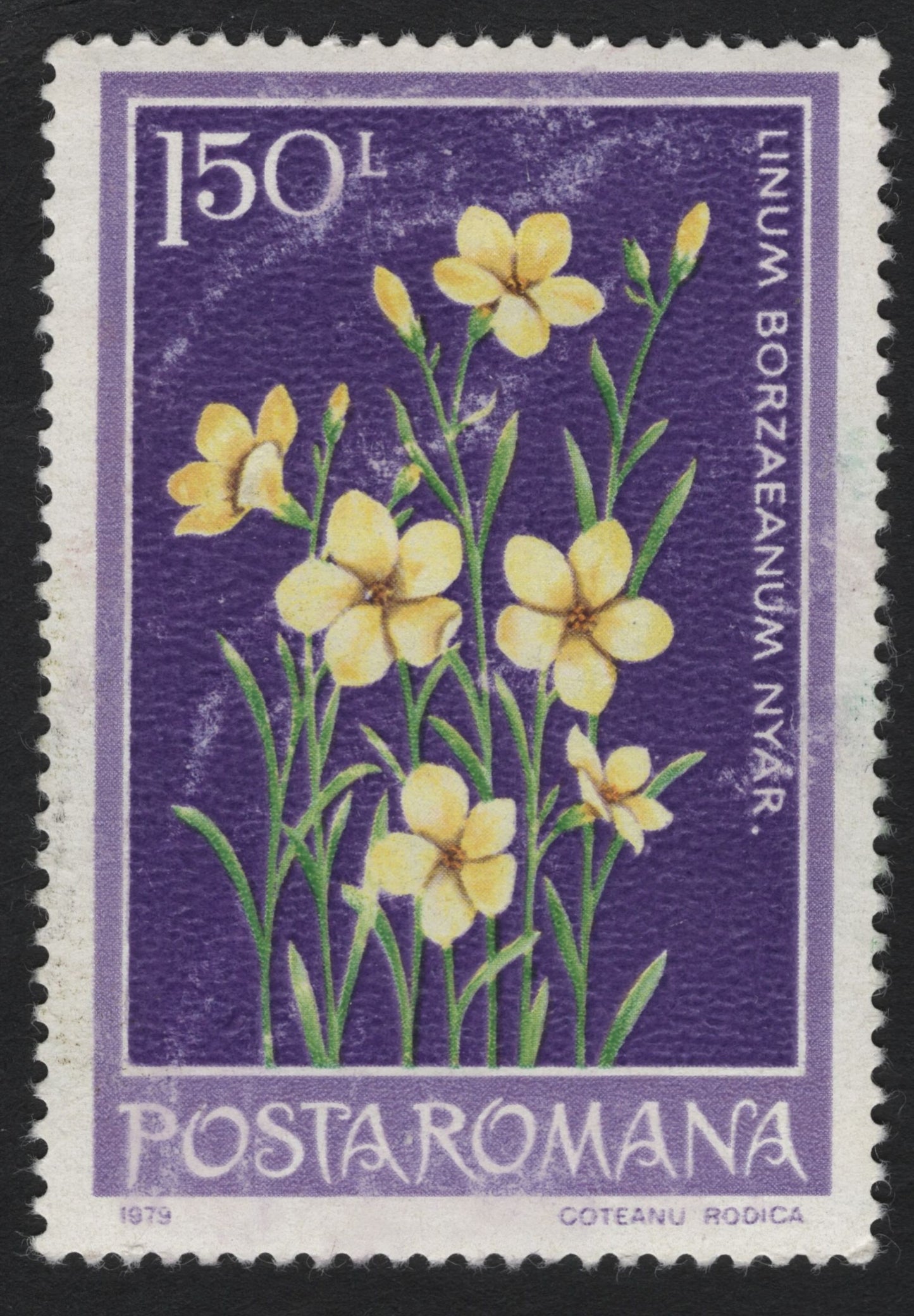 SCG6079 - Romania 1979 – Linum Borzaeanum (Flax Flower) 150 Lei