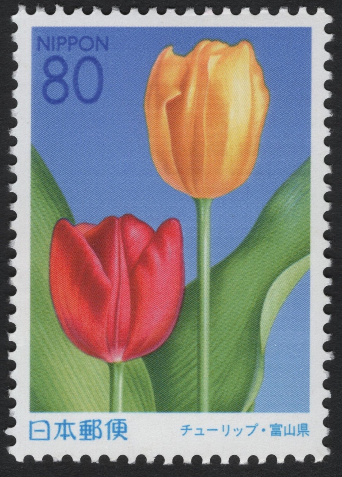 SCG6101 - Japan 80 Yen Tulip Stamp – Toyama Prefecture