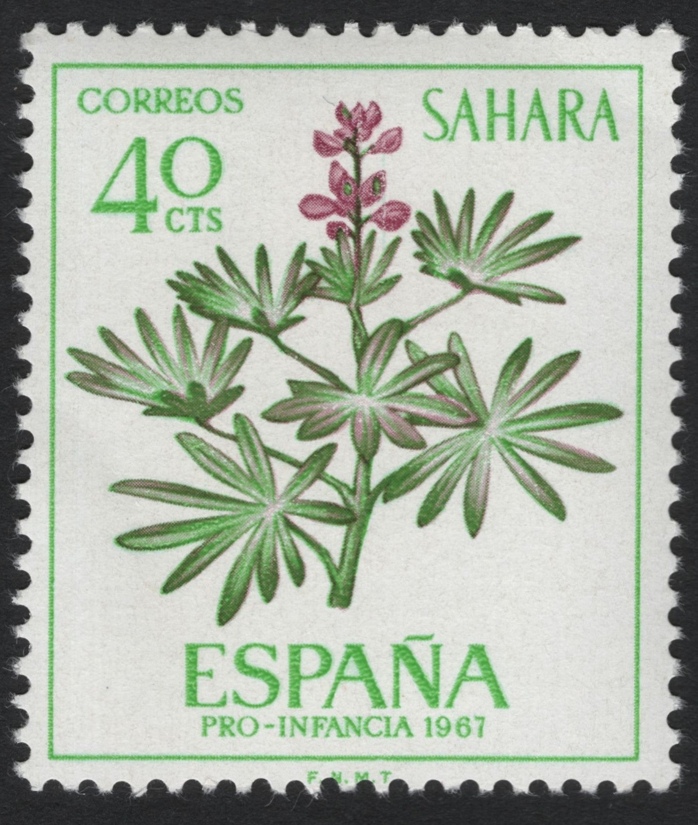 SCG6105 - Spanish Sahara 1967 “Pro-Infancia” 40 Cts – Lupinus Flower