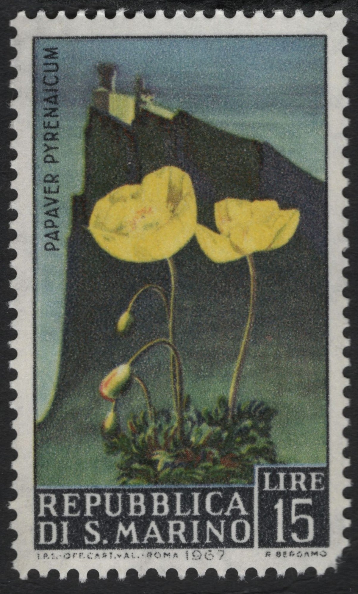 SCG6081 - San Marino 1967 – Pyrenean Poppy (Papaver Pyrenaicum)