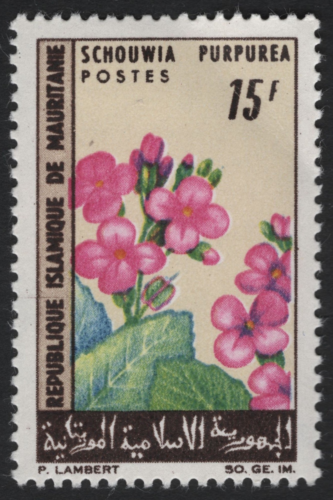 SCG6085 - Mauritania 15f Schouwia purpurea Stamp (Floral Series)