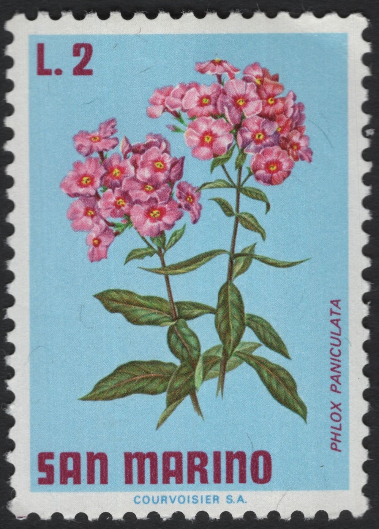 SCG6117 - San Marino 2 Lire “Phlox Paniculata” Stamp (Floral Series)