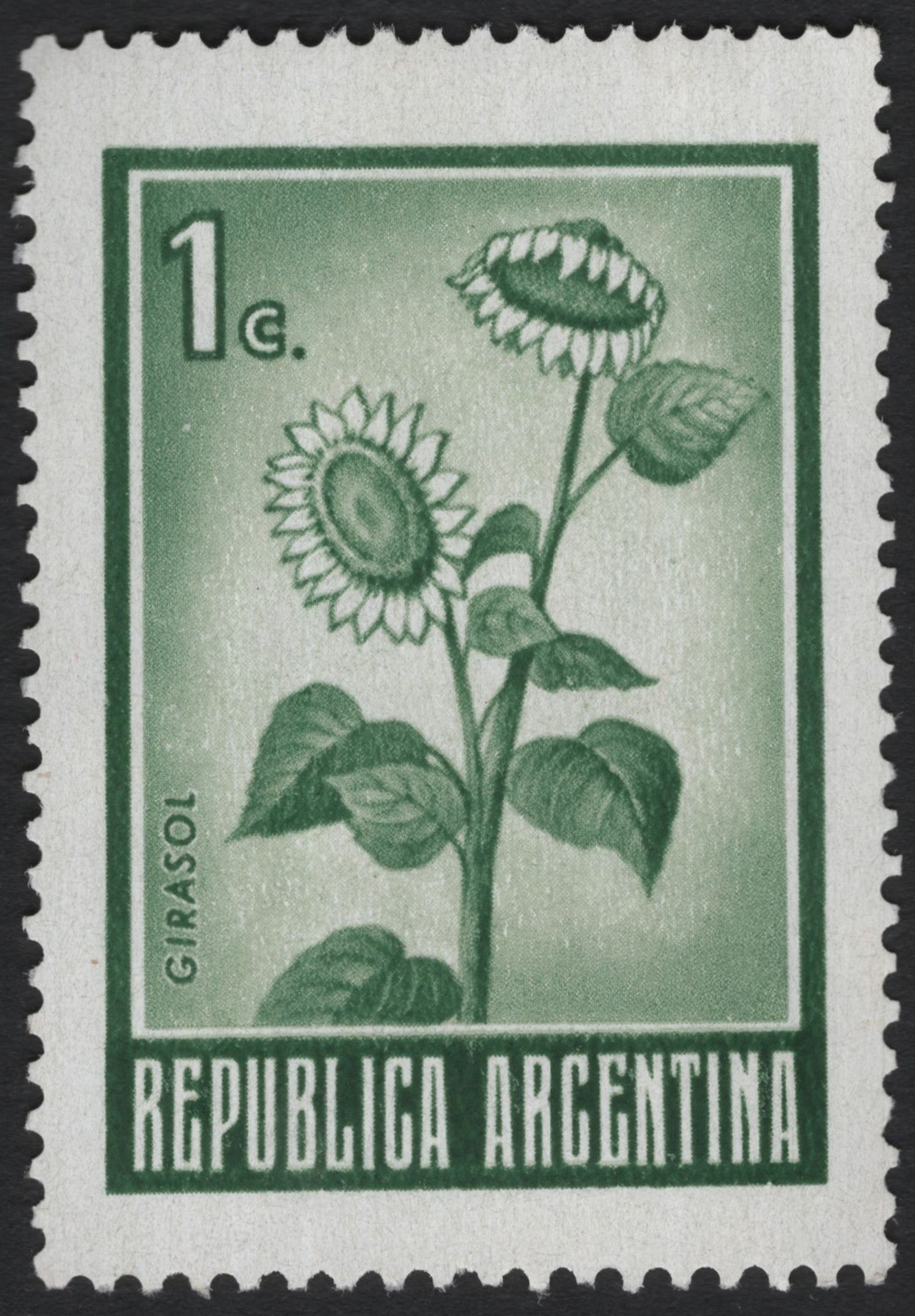 SCG6135 - Argentina 1c Sunflower (Girasol) Definitive Stamp