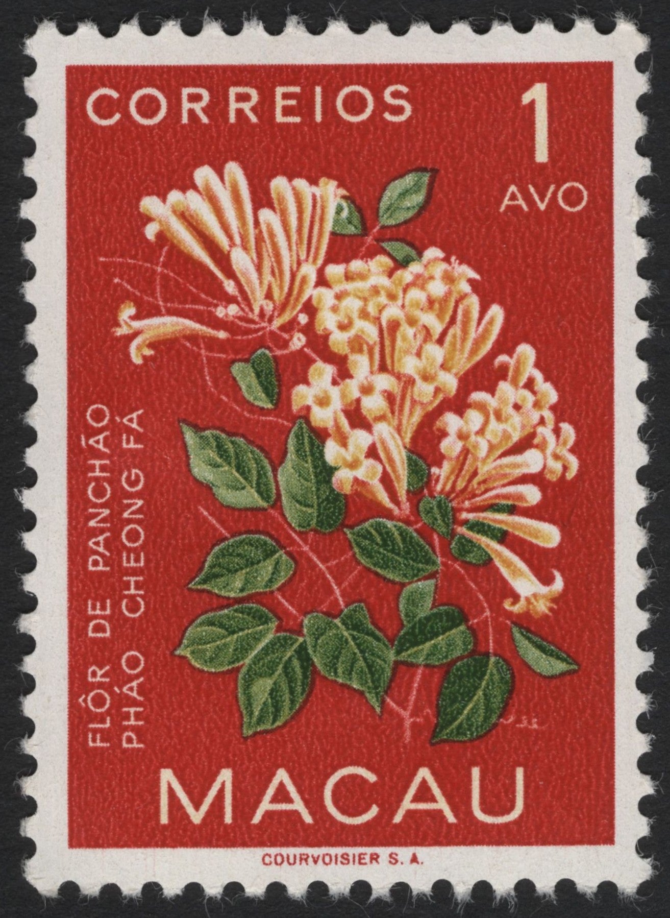 SCG6136 - Macau 1 Avo – Flor de Panchão (Pháo Cheong Fá)