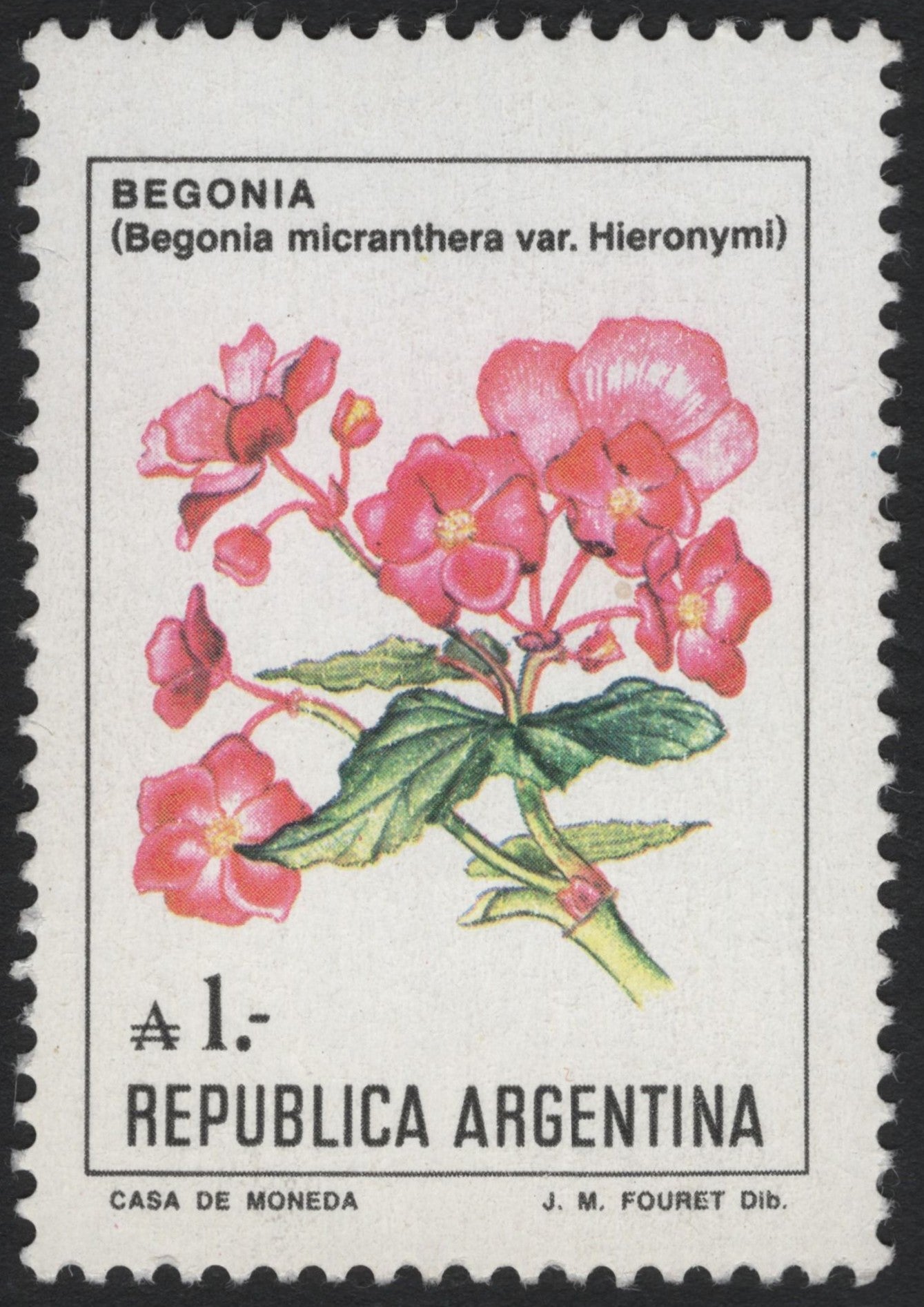 SCG6137 - Argentina 1 Peso – Begonia (Begonia micranthera var. Hieronymi)