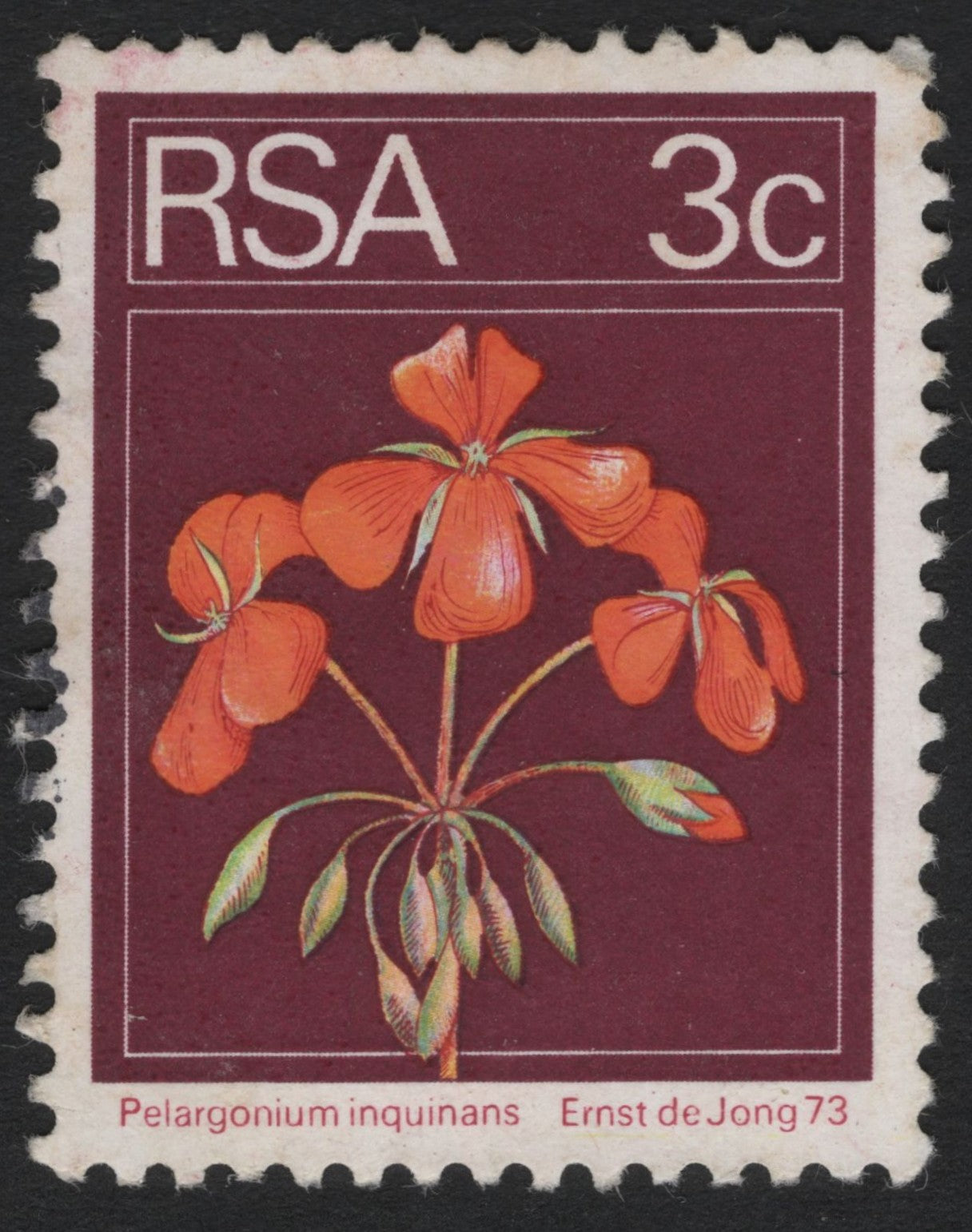 SCG6140 - South Africa 1973 – Pelargonium inquinans (3c)