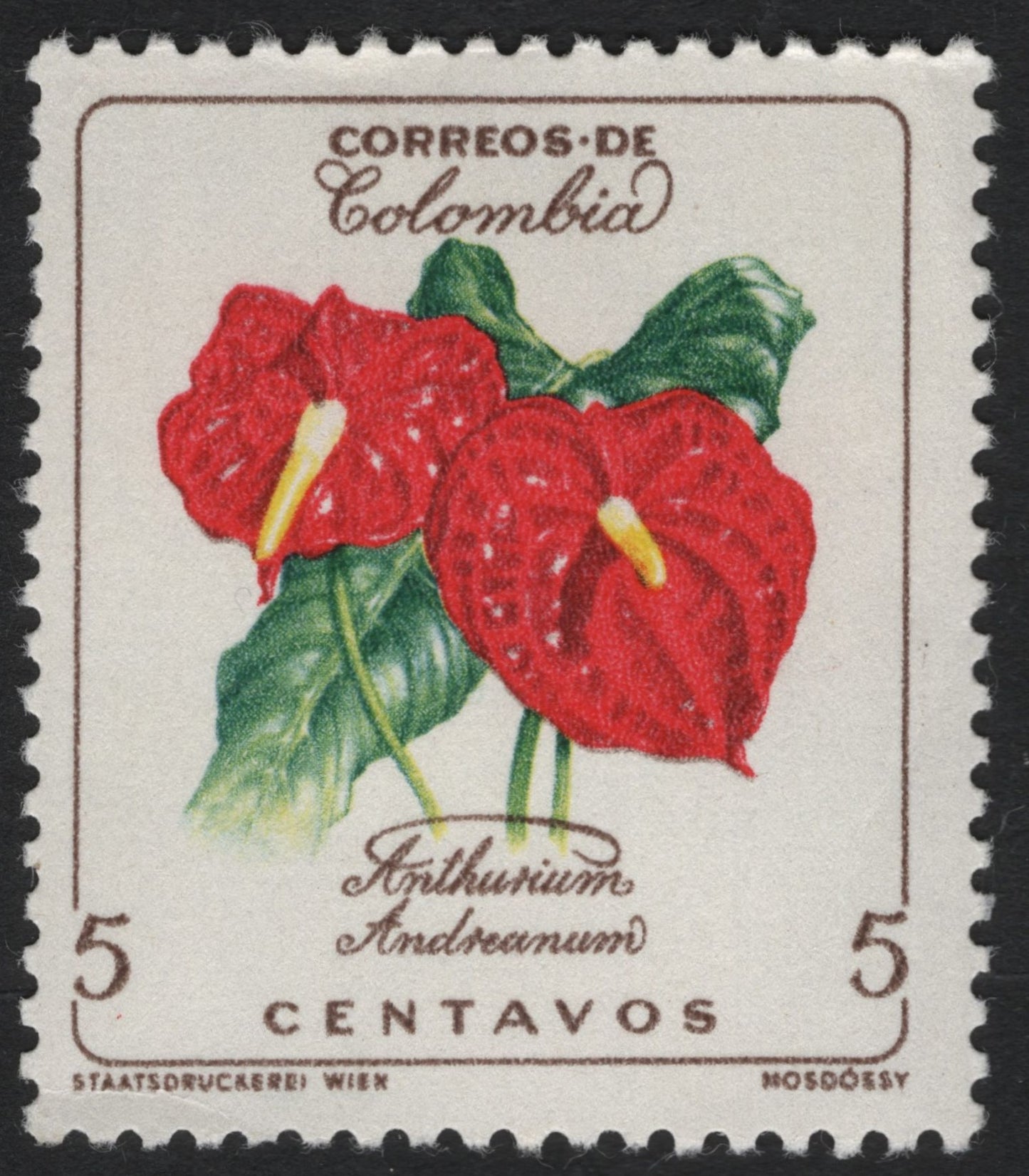 SCG6125 - Colombia 5 Centavos – Anthurium Andraeanum (Flamingo Flower)