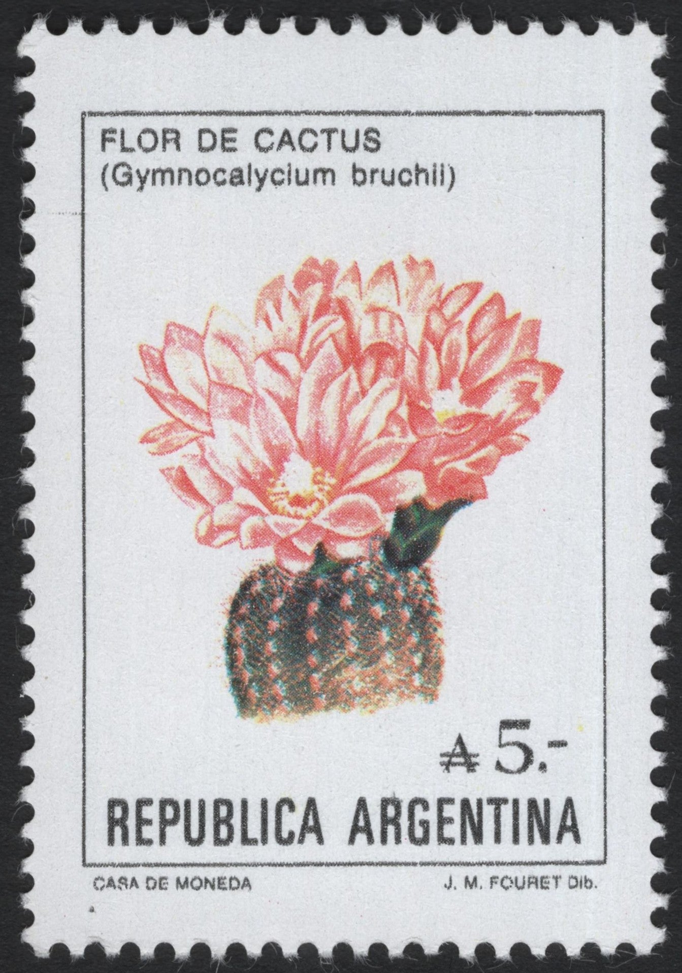 SCG6155 - Argentina 5₳ Cactus Flower Stamp (Gymnocalycium bruchii)