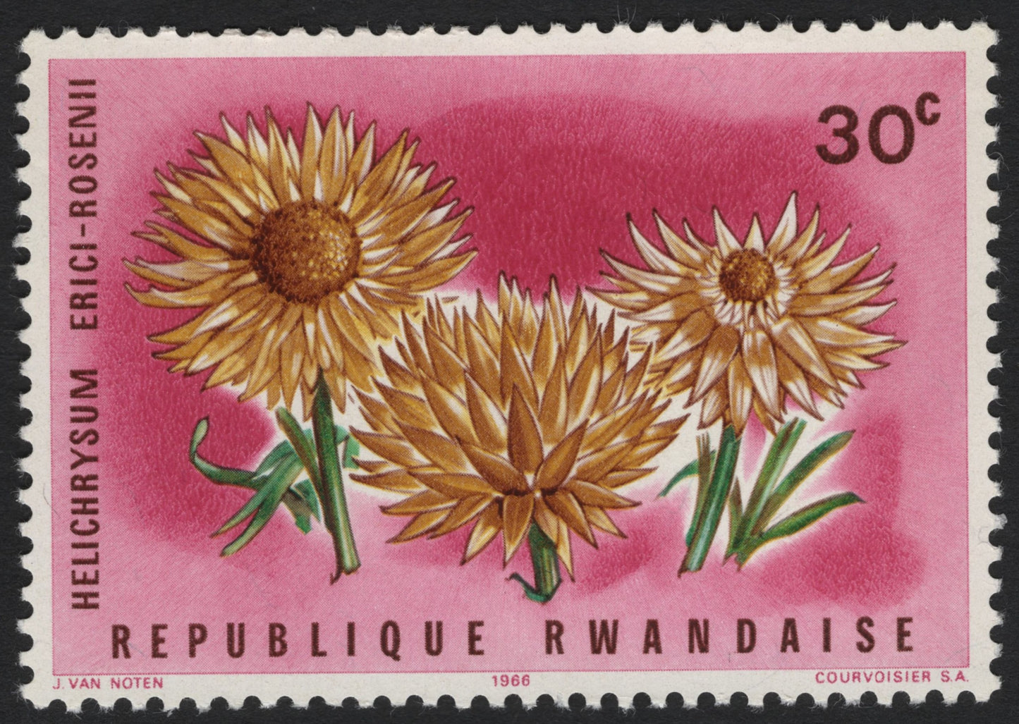 SCG6160 - Rwanda 1966 – Helichrysum Erici-Rosenii (30 Centimes)