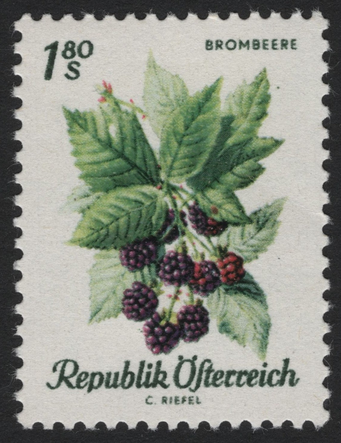 SCG6150 - Austria 1979 – Blackberry “Brombeere” 1.80 Schilling