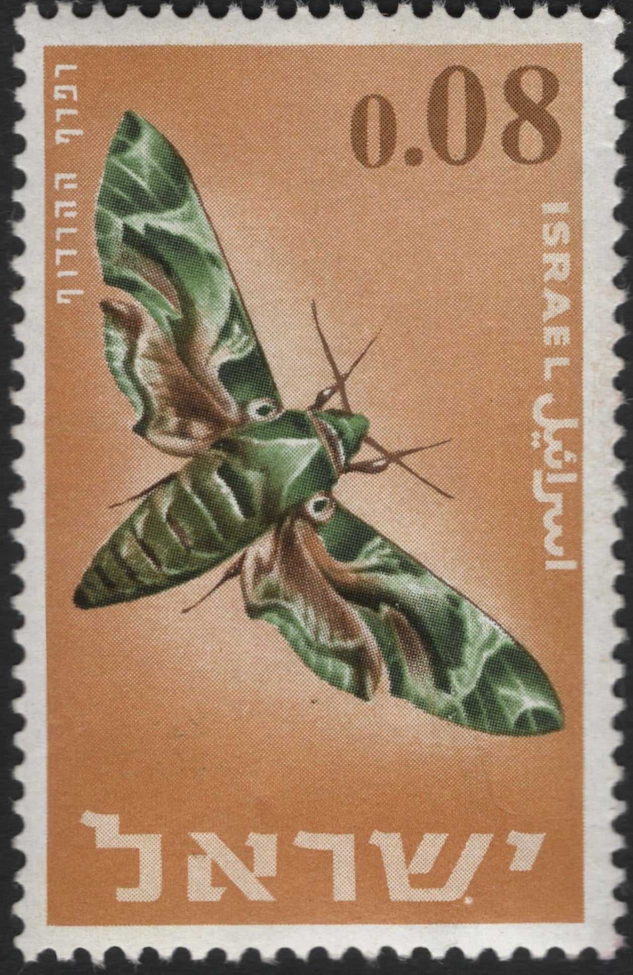SCG6667 - Israel 1963 – Oleander Hawk Moth (Daphnis nerii) 0.08