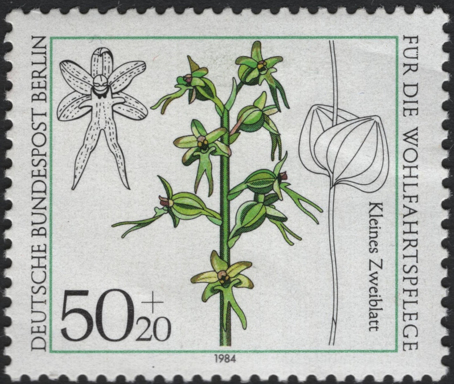 SCG6960 - Germany (Berlin) 1984 – “Kleines Zweiblatt” (Small Twayblade)