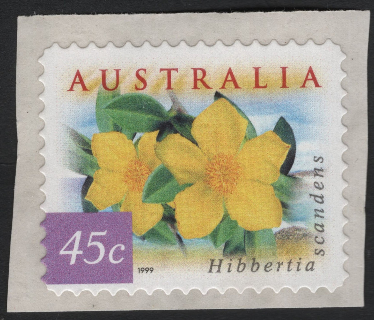 SCG7076 - Australia 1999 – Hibbertia scandens (45c)