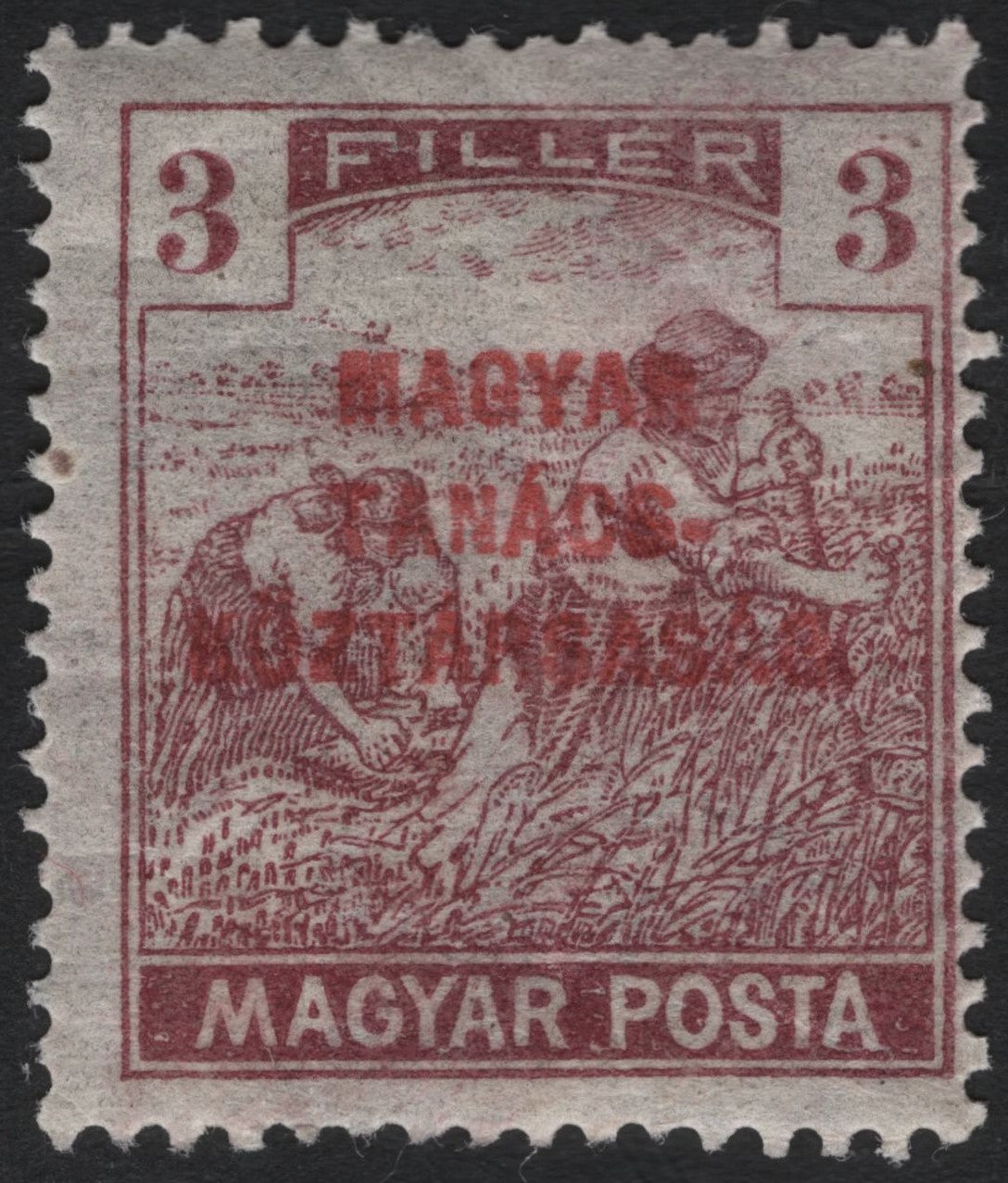 SCG7322 - Hungary 1919 “Magyar Tanácsköztársaság” Overprint on Harvesters Stamp