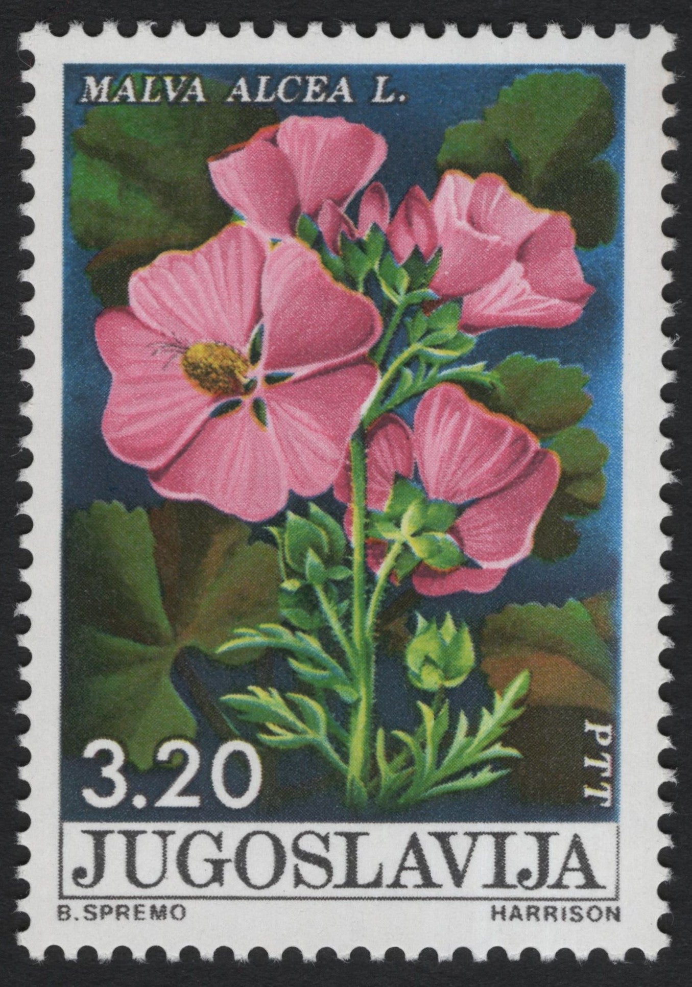 SCG7850 - Yugoslavia 1981 – Malva Alcea (Hollyhock Mallow)