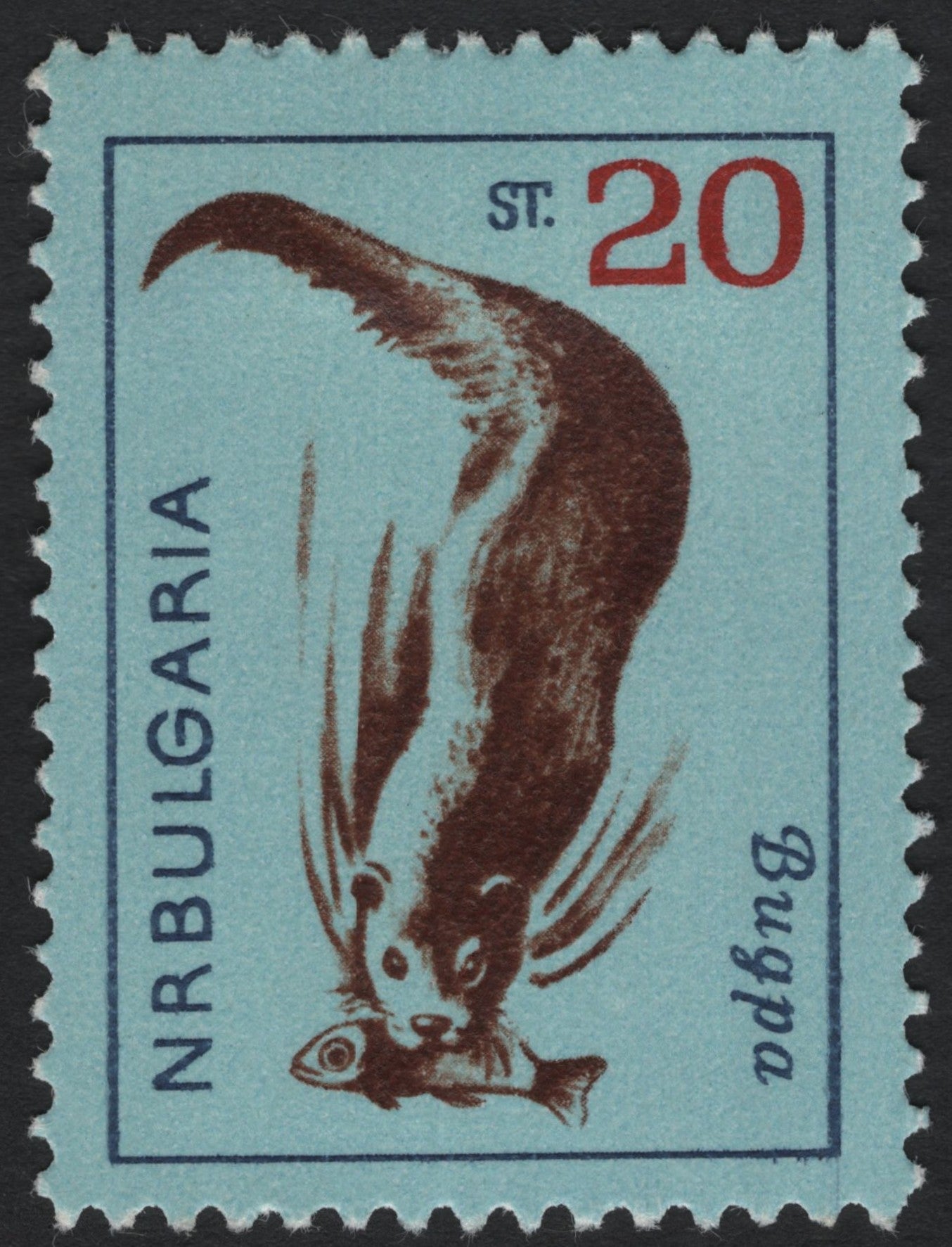 SCG7862 - Bulgaria 1961 – European Otter with Fish