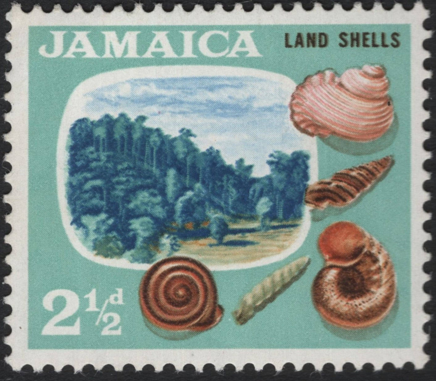 SCG8015 - Jamaica 1964 – Land Shells (2½d)