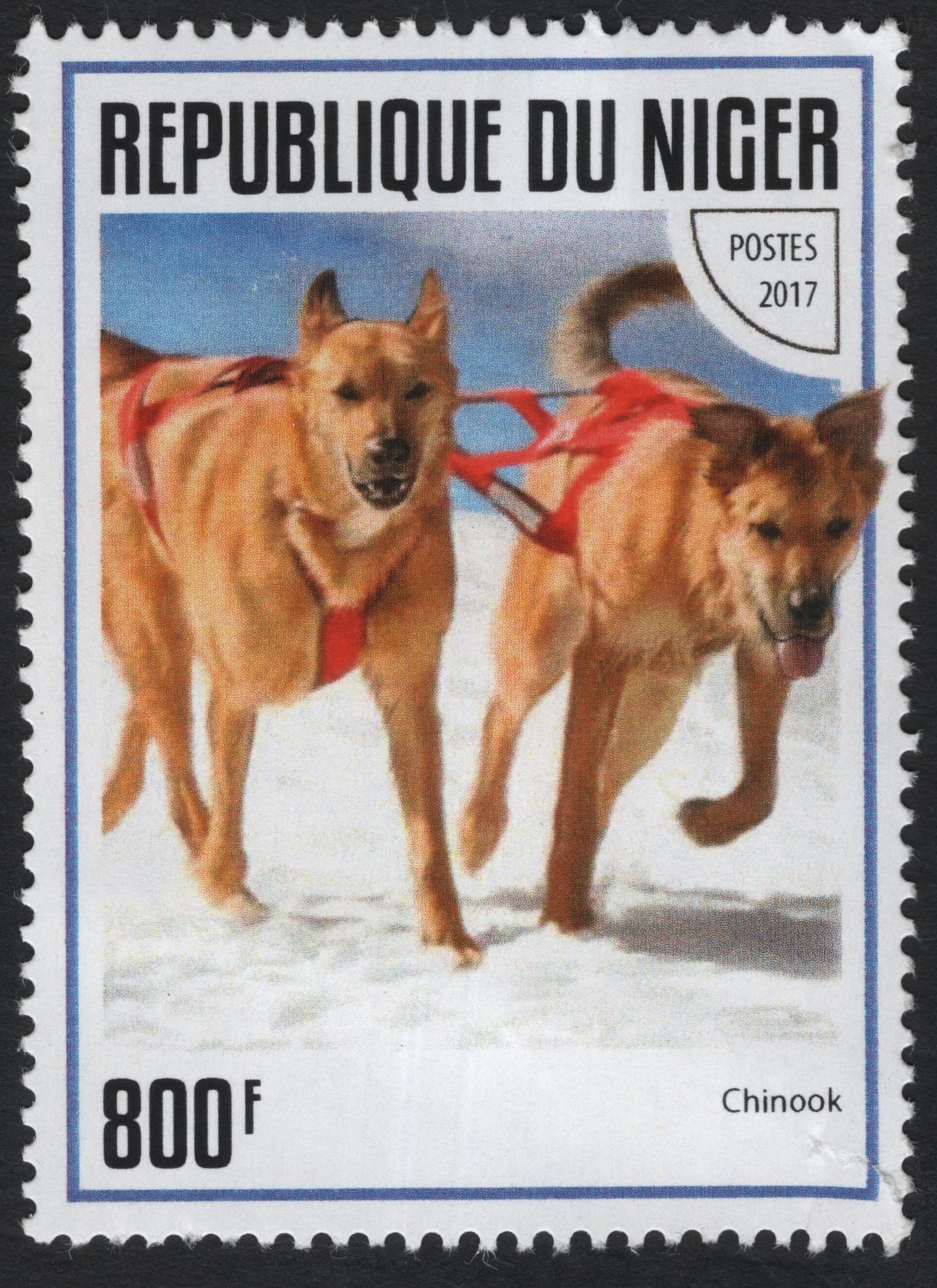 SCG8158 - Niger 2017 – Chinook Sled Dogs