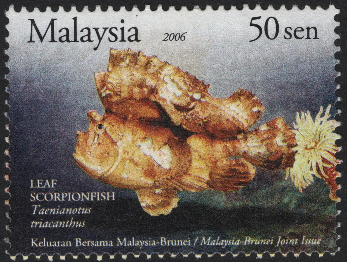 SCG8290 - Malaysia 2006 – Leaf Scorpionfish (Taenianotus triacanthus)