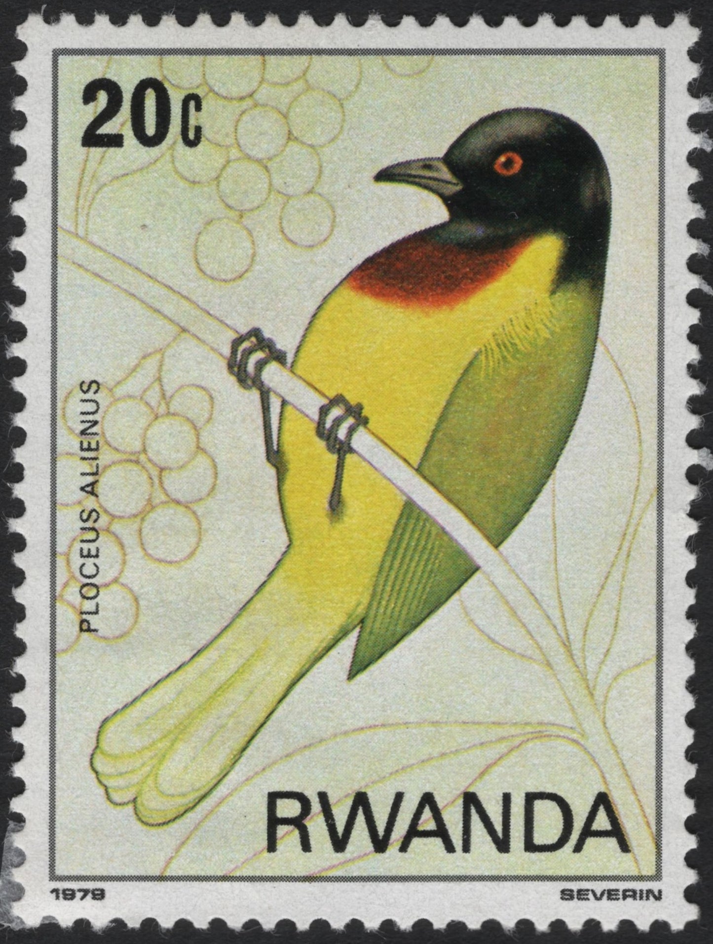SCG8432 - Rwanda 1979 – Alienus Weaver (Ploceus alienus)