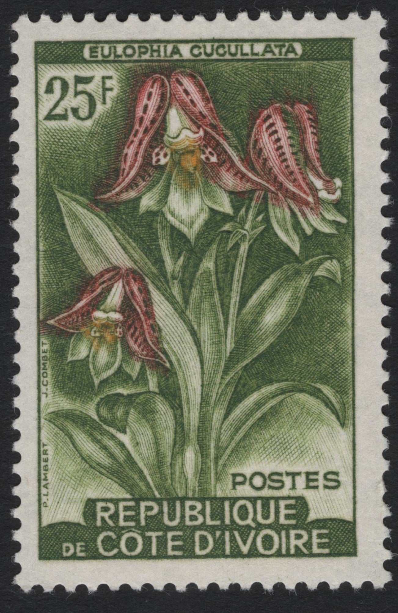 SCG8268 - Côte d’Ivoire 25 Francs – Eulophia cucullata
