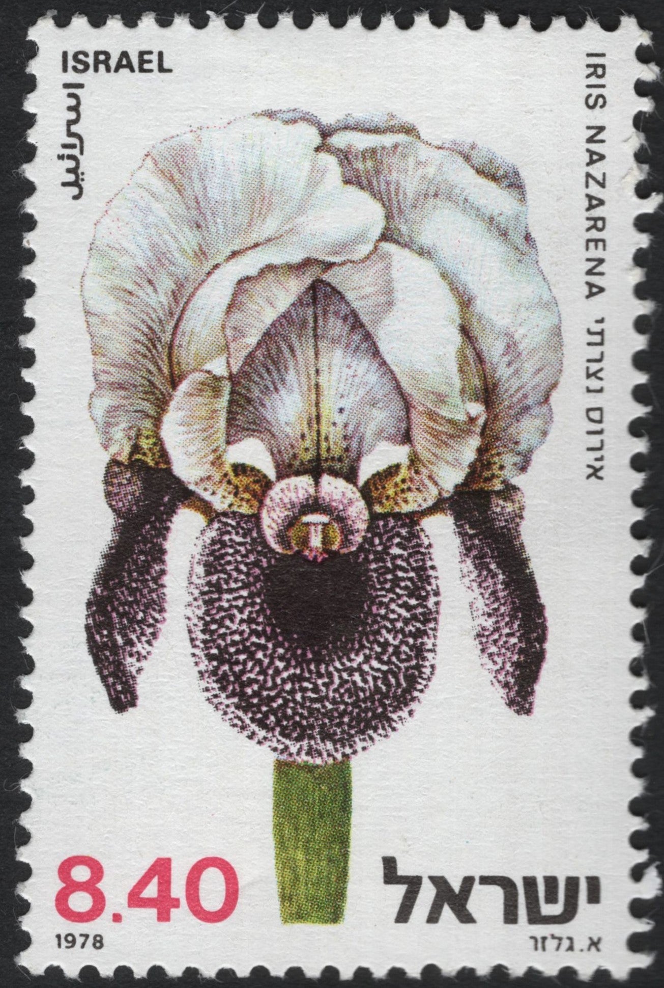SCG8490 - Israel 1978 – Iris Nazarena (8.40 Lira)