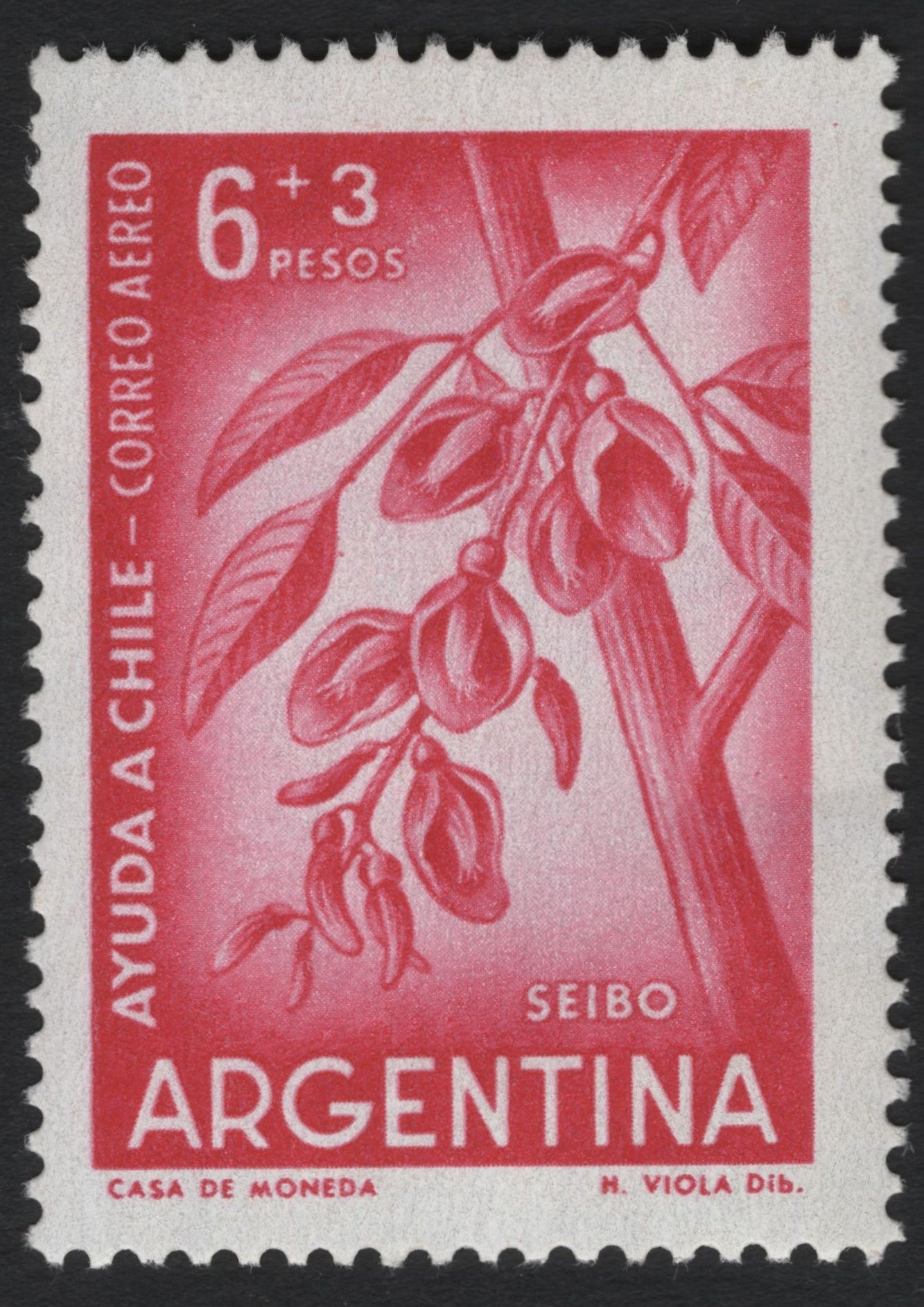 SCG8762 - Argentina 1950s Airmail Semi-Postal – “Seibo” (Aid to Chile)