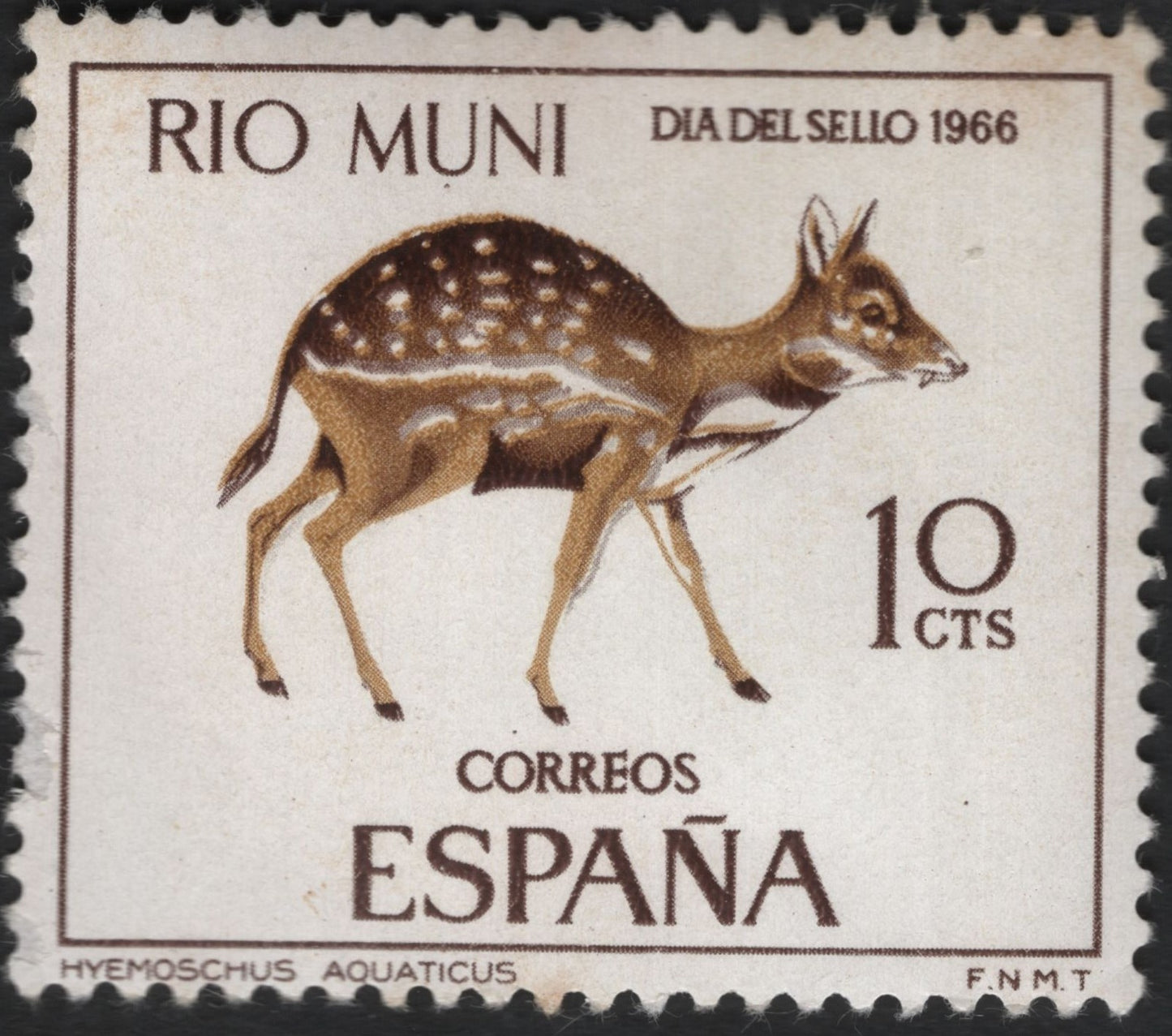 SCG8895 - 1966 Rio Muni – Water Chevrotain (Hyemoschus aquaticus), Spain Issue