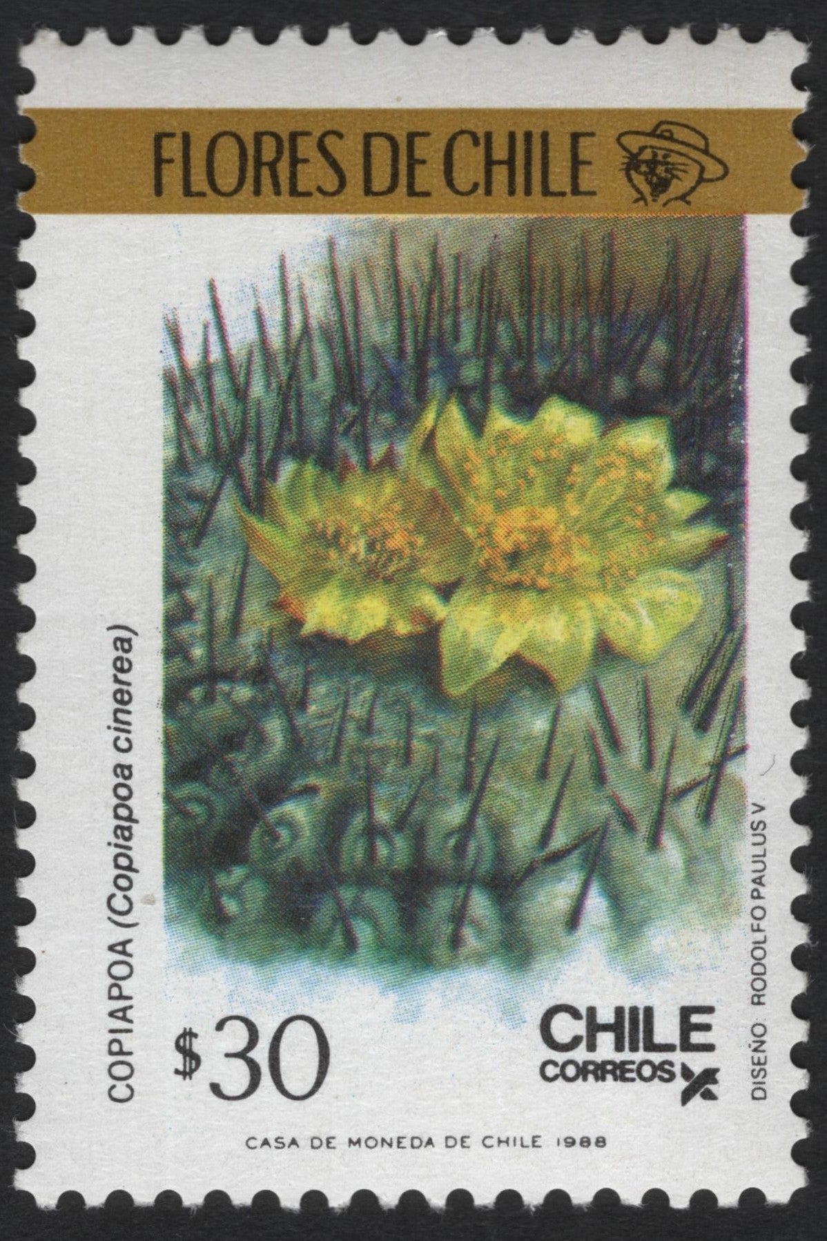 SCG9119 - Chile 1988 Copiapoa Cinerea Flower – Flores de Chile Series