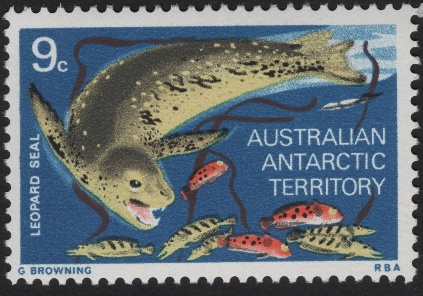SCG9226 - Australian Antarctic Territory – Leopard Seal 9c (1960s)