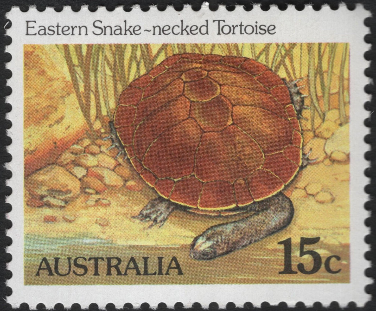 SCG9222 - Australia 1974 – Eastern Snake-Necked Tortoise (15c)