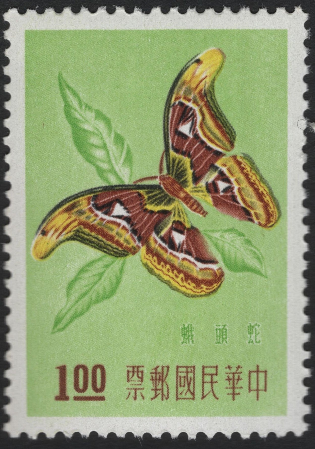 SCG9424 - Taiwan – 100c Atlas Moth Stamp