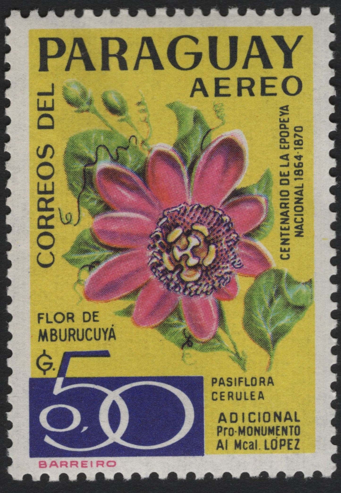 SCG9486 - Paraguay Airmail – Flor de Mburucuyá (Passiflora Cerulea) – 50₲ Additional Issue