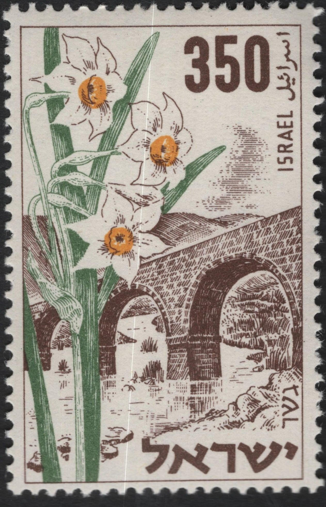 SCG10263 - Israel 1963 – Narcissus Flower & Ancient Aqueduct – 350pr Definitive