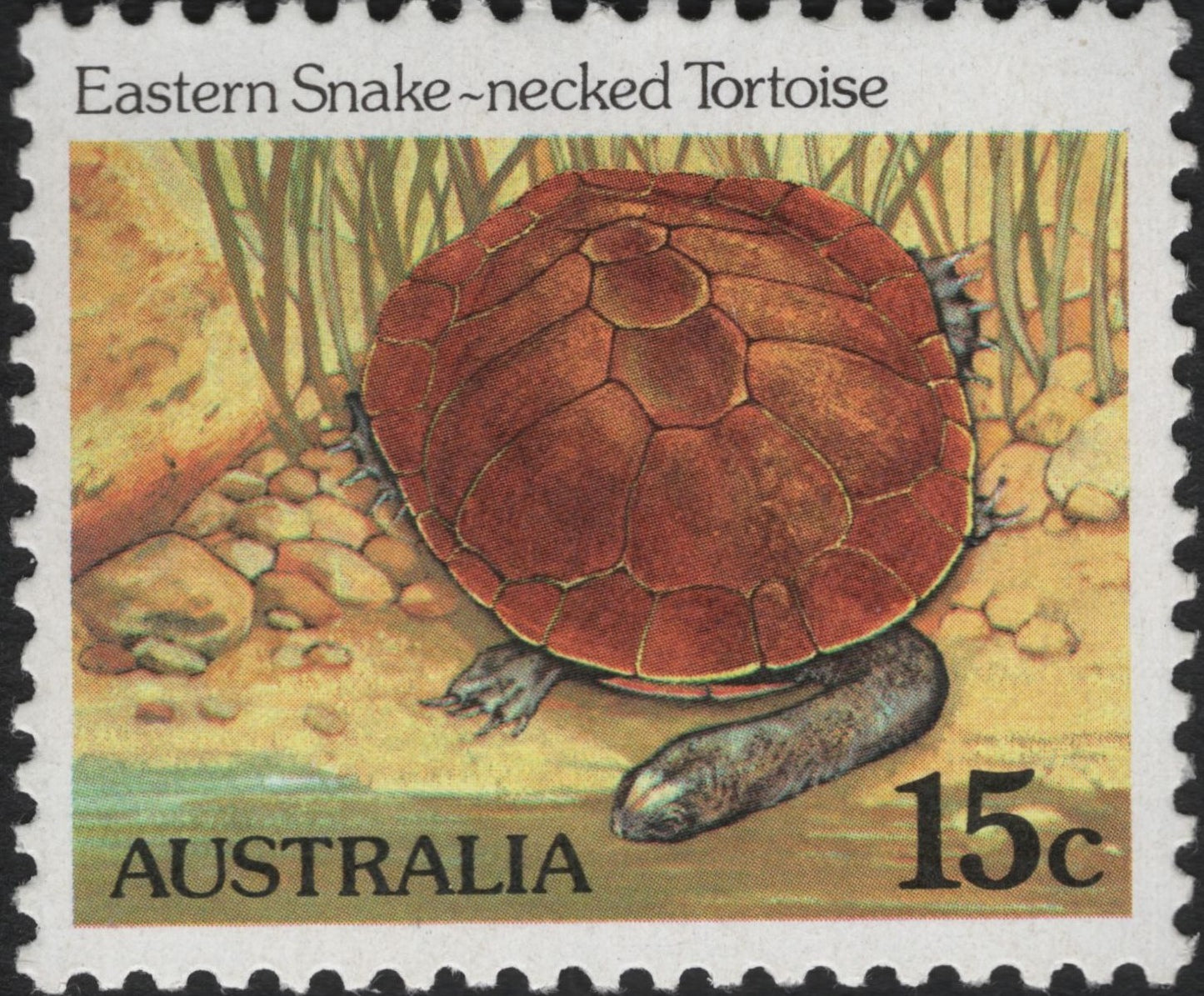SCG10356 - Australia 1974 – Eastern Snake-Necked Tortoise 15c Wildlife Definitive