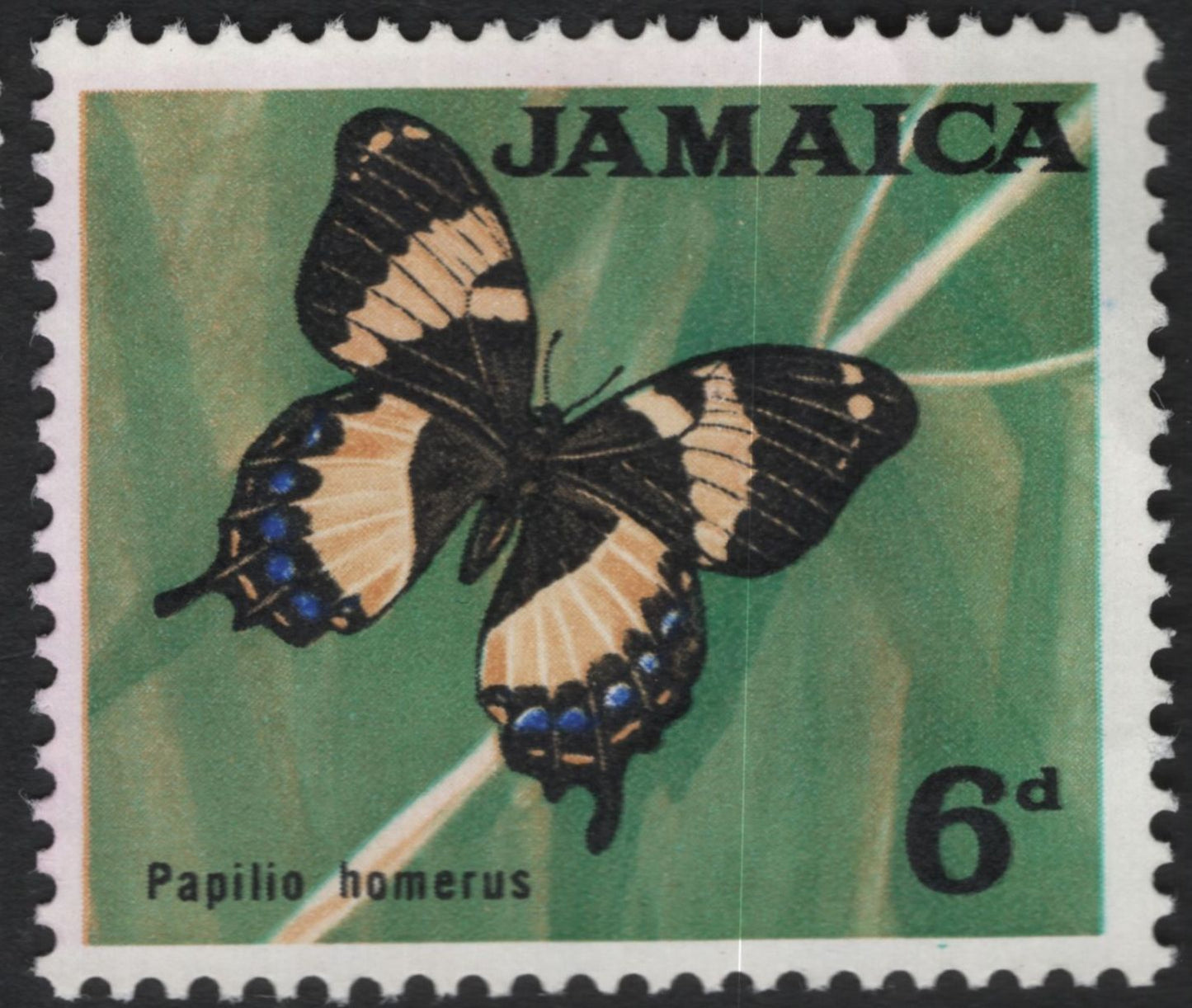 SCG10703 - Jamaica Pre-Decimal Wildlife Pair – Murex Shell (4d) & Papilio Homerus Butterfly (6d)