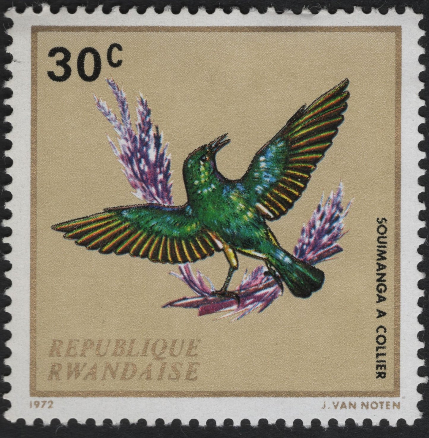 SCG10439 - Rwanda 1972 – Collared Sunbird (Souimanga à Collier) – 30c Definitive